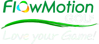 Logo FlowMotion
